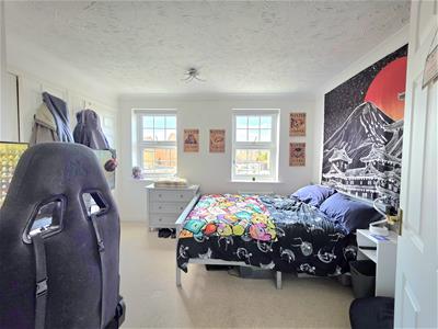 Picture 8